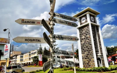 Discovering Culinary Delights: The Best Restaurants in Arusha