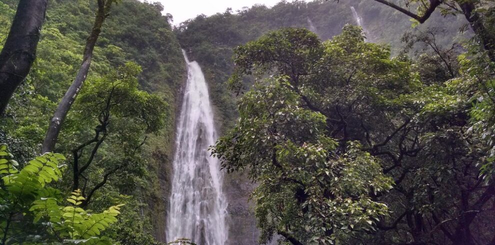 Matureni Waterfall Chagga Coffee Experience