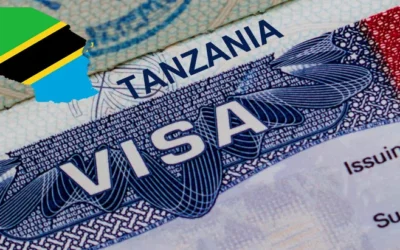 The Tanzanian eVisa