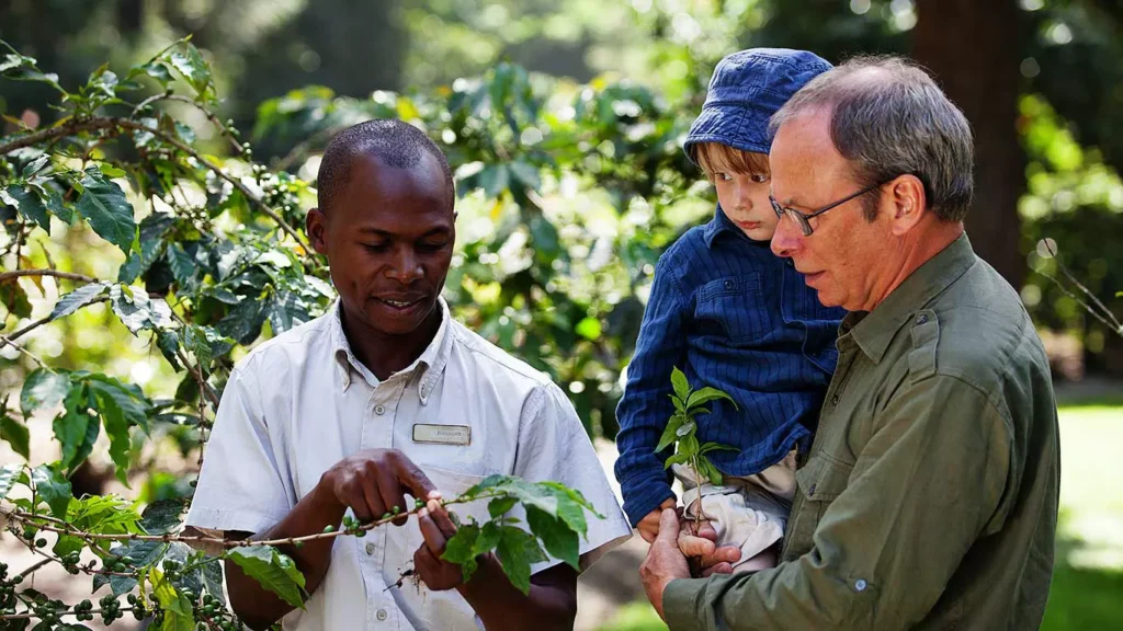 Arusha Coffee Tour: Immerse yourself in the world of coffee with a fascinating journey through lush plantations and local traditions.