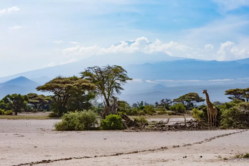 enduimet-the-hidden-gem-at-the-footsteps-of-kilimanjaro