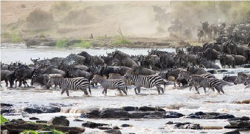 Tarangire National Park