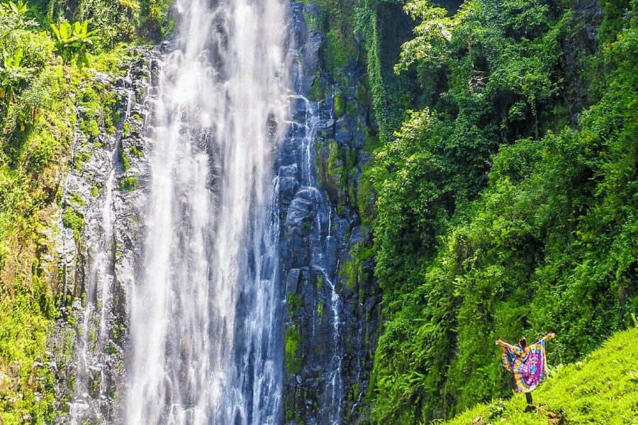 Materuni Waterfalls & Coffee Tour