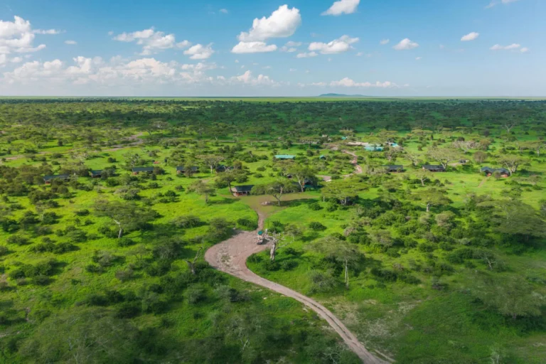 Aerial-View-of-the-Camp