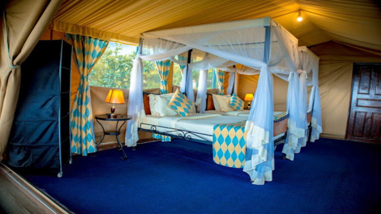 Ngorongoro Wild Camp room 2