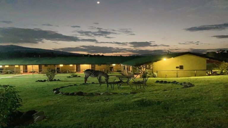 Rhino lodge Exterior