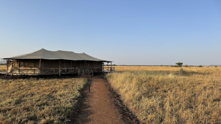 Zawadi Camp Exterior 2