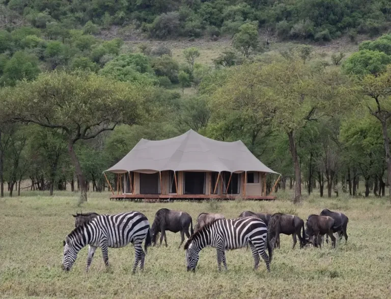 cherero-camp-serengeti-serengeti-national-park-serengeti-camp (1) (1)