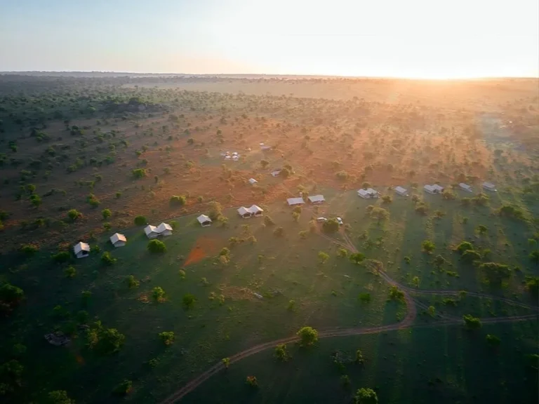 pamoja-migration-camp (1)