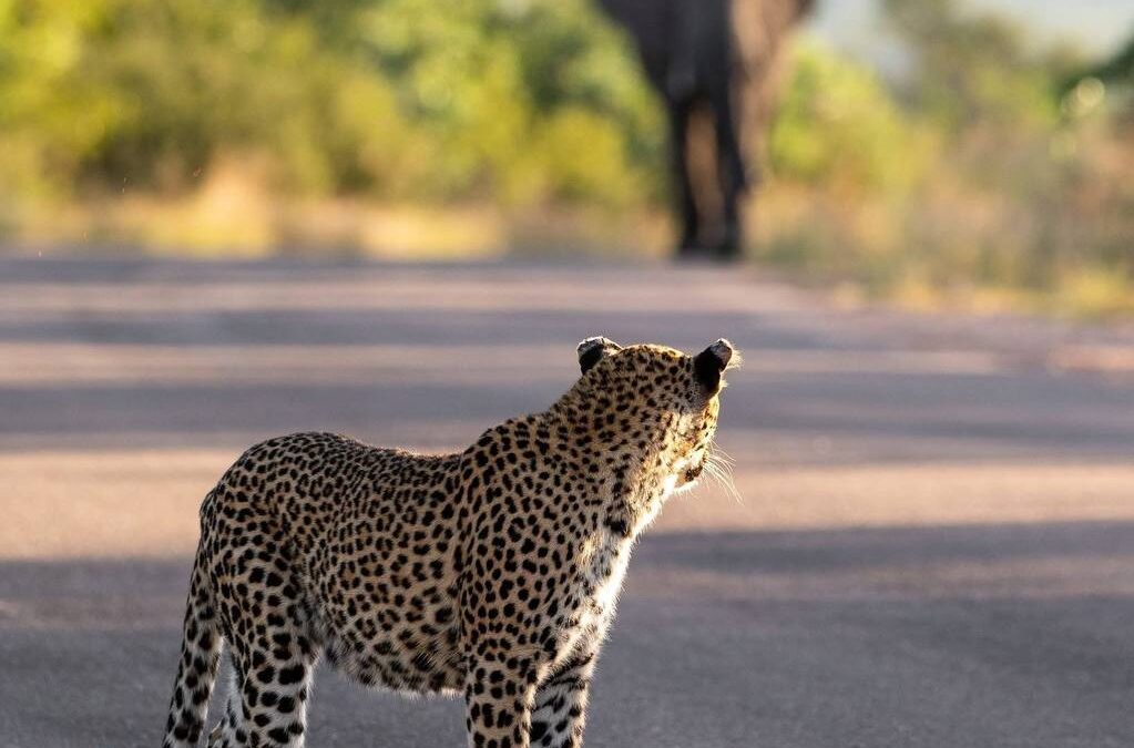 Wie is de Mol 2026 in Tanzania: Ontdek de Filmlocaties Zelf