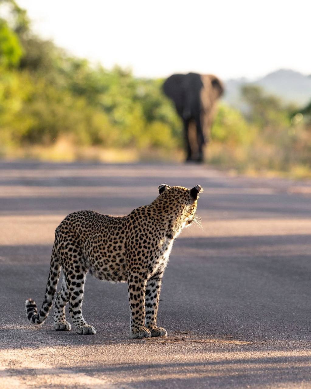 Wie is de Mol 2026 in Tanzania: Ontdek de Filmlocaties Zelf