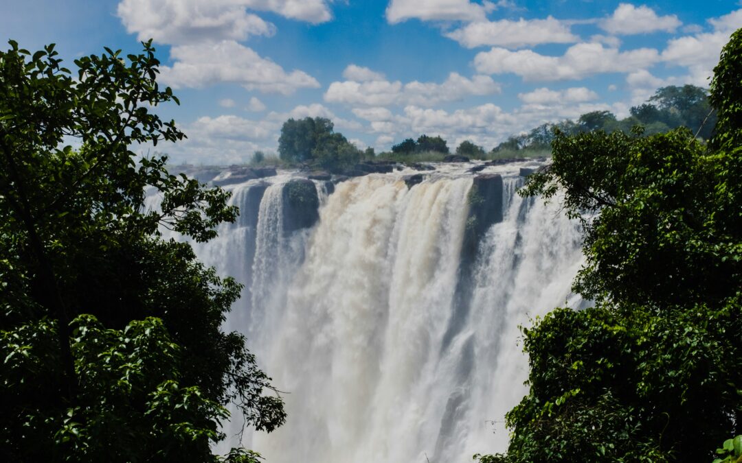 Experience Authentic Zambia Safaris with a Black-Owned Safari Company Supporting Local Communities