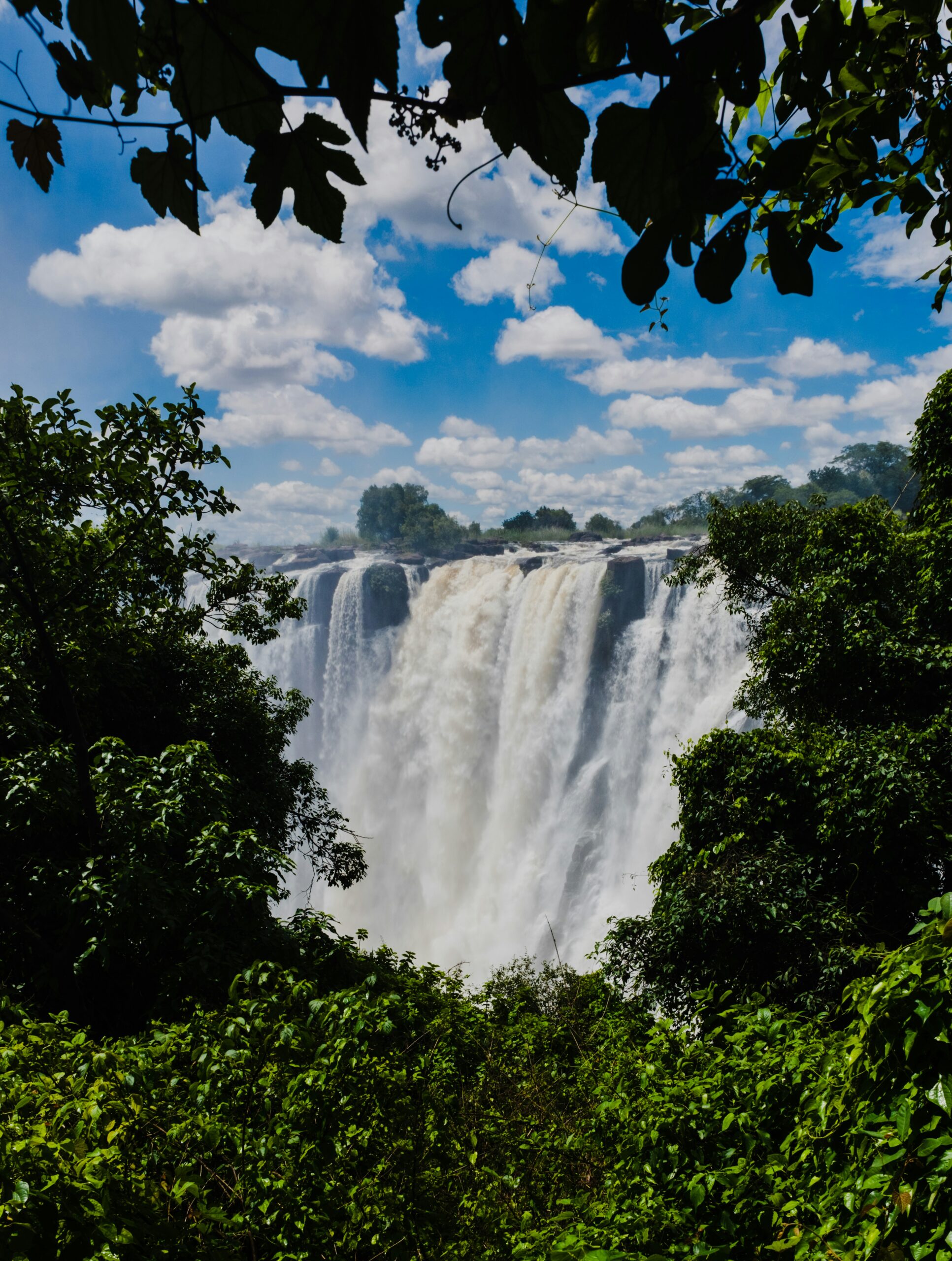 Experience Authentic Zambia Safaris with a Black-Owned Safari Company Supporting Local Communities